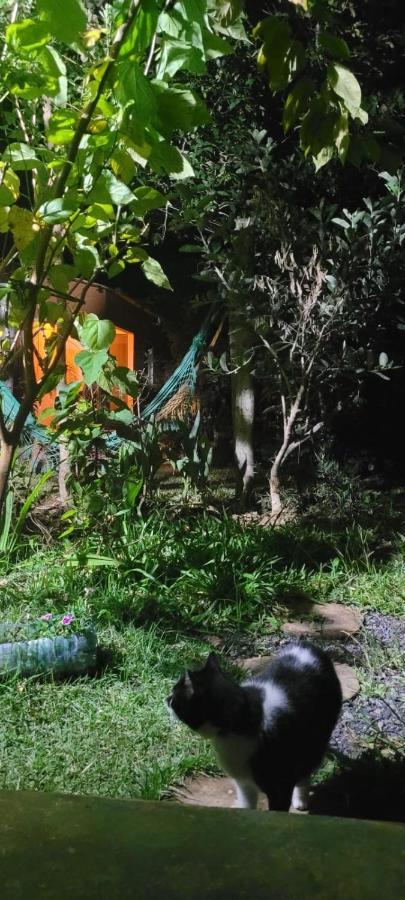 Tenda Da Lua Alto Paraíso de Goiás Екстериор снимка