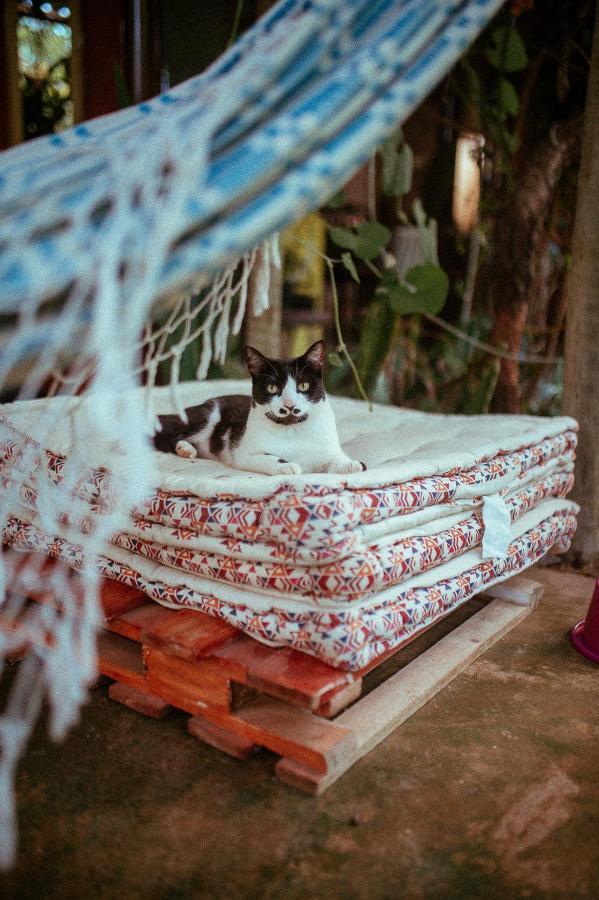 Tenda Da Lua Alto Paraíso de Goiás Екстериор снимка